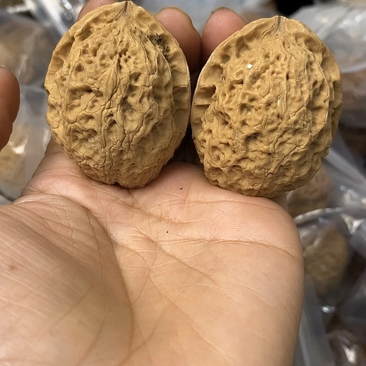核桃云南铁核桃基地30