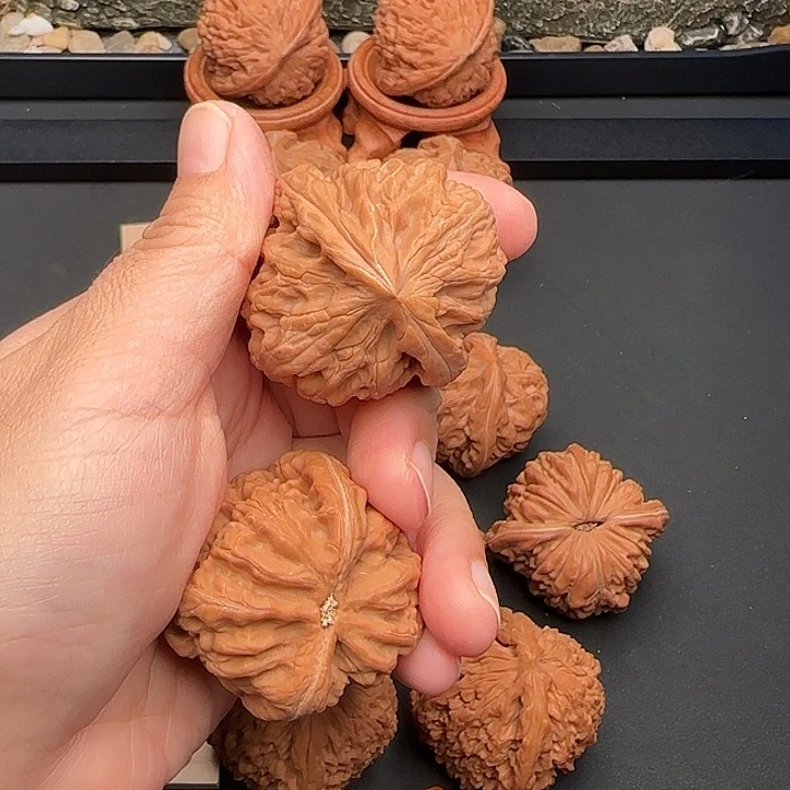 K***l把件桃核红锦鲤25-931A++