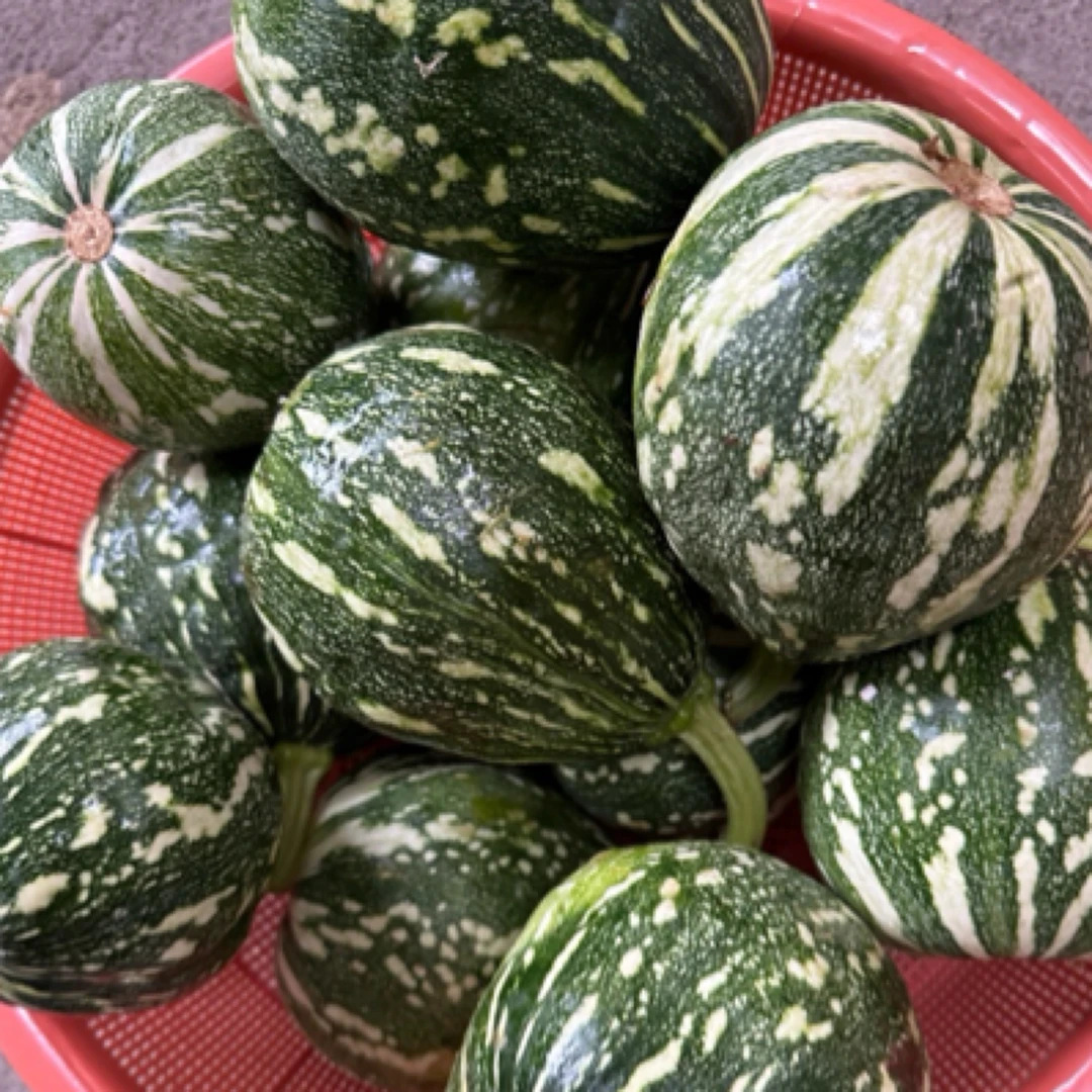 【农家自种】江西萍乡小南瓜