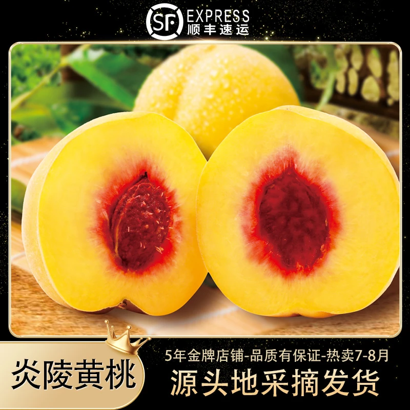 炎陵黄桃炎陵黄桃高山新鲜红心黄桃爆汁稀有清脆甜9-11颗