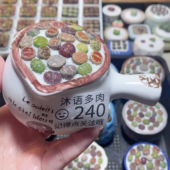 一物一拍 所见即所得240