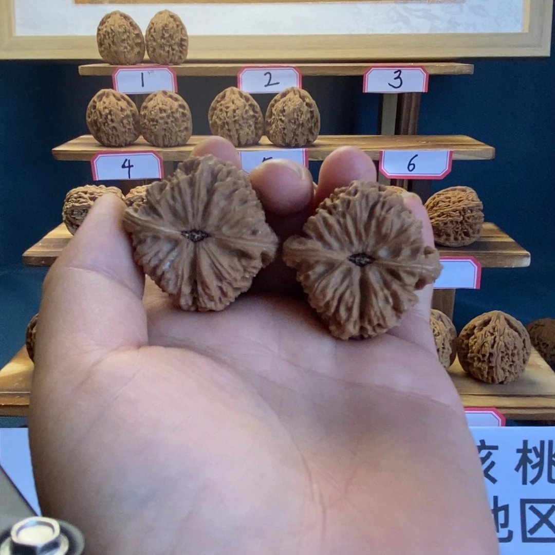 小***龍南将石文玩核桃三角39