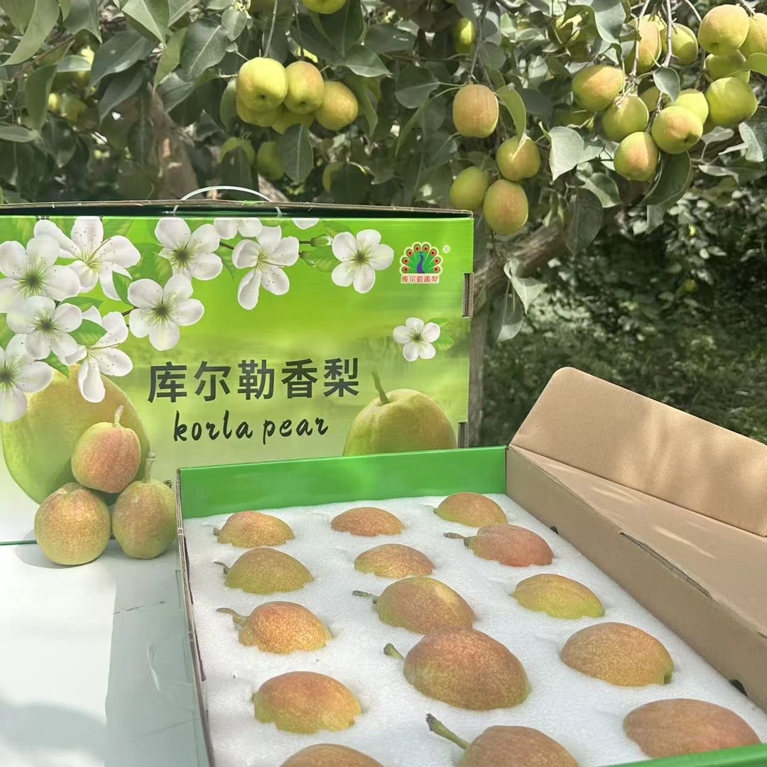 新疆库尔勒香梨纯母梨精品礼盒包装脆甜多汁适合送人