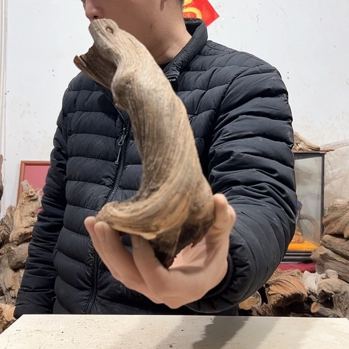 柏木同*我们都是好孩子呀我