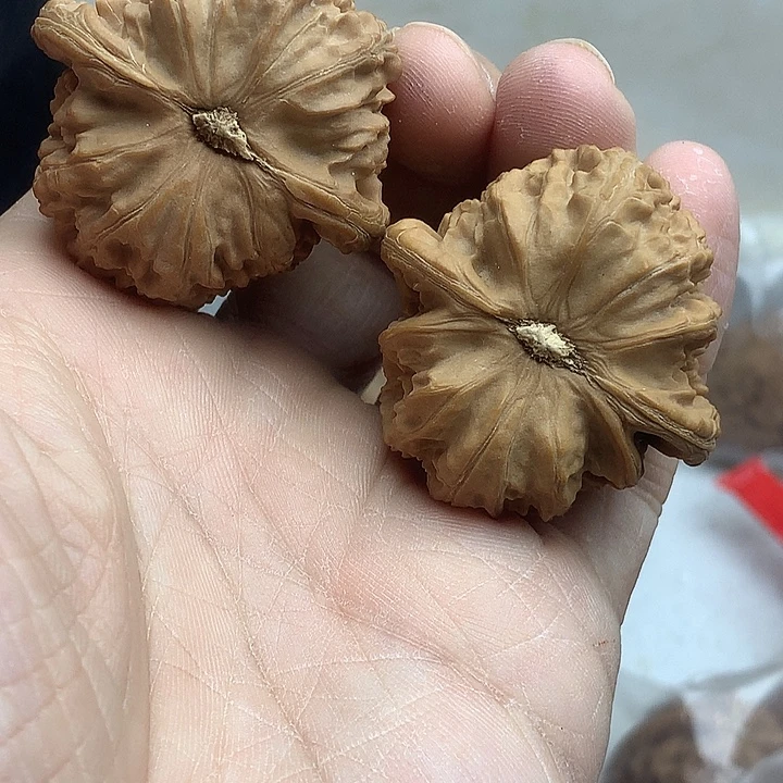 吊坠文玩核桃40 白狮子