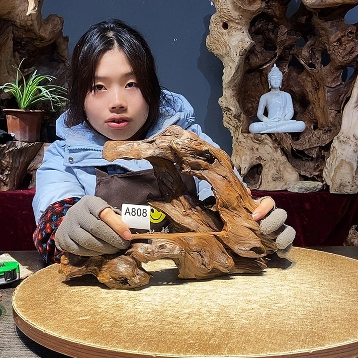 y****铺808株木随行的小根艺