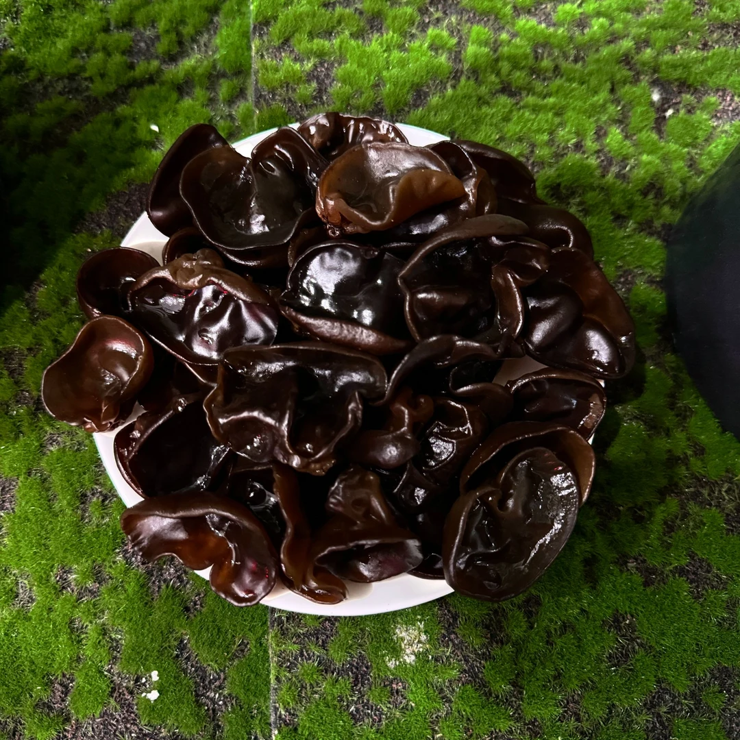 【吉森食品】东北长白山春木耳（半筋）250g