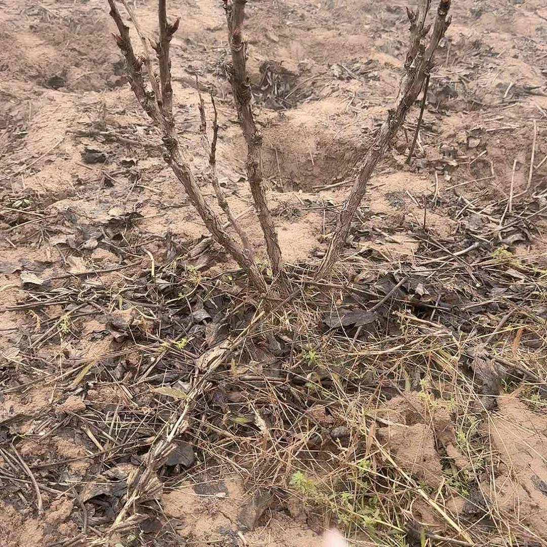 完全开放1111111111