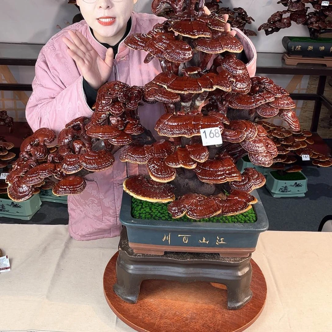 石****6万事如意888888888