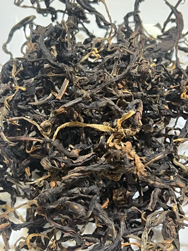 2025年铜箐河乔木红茶
