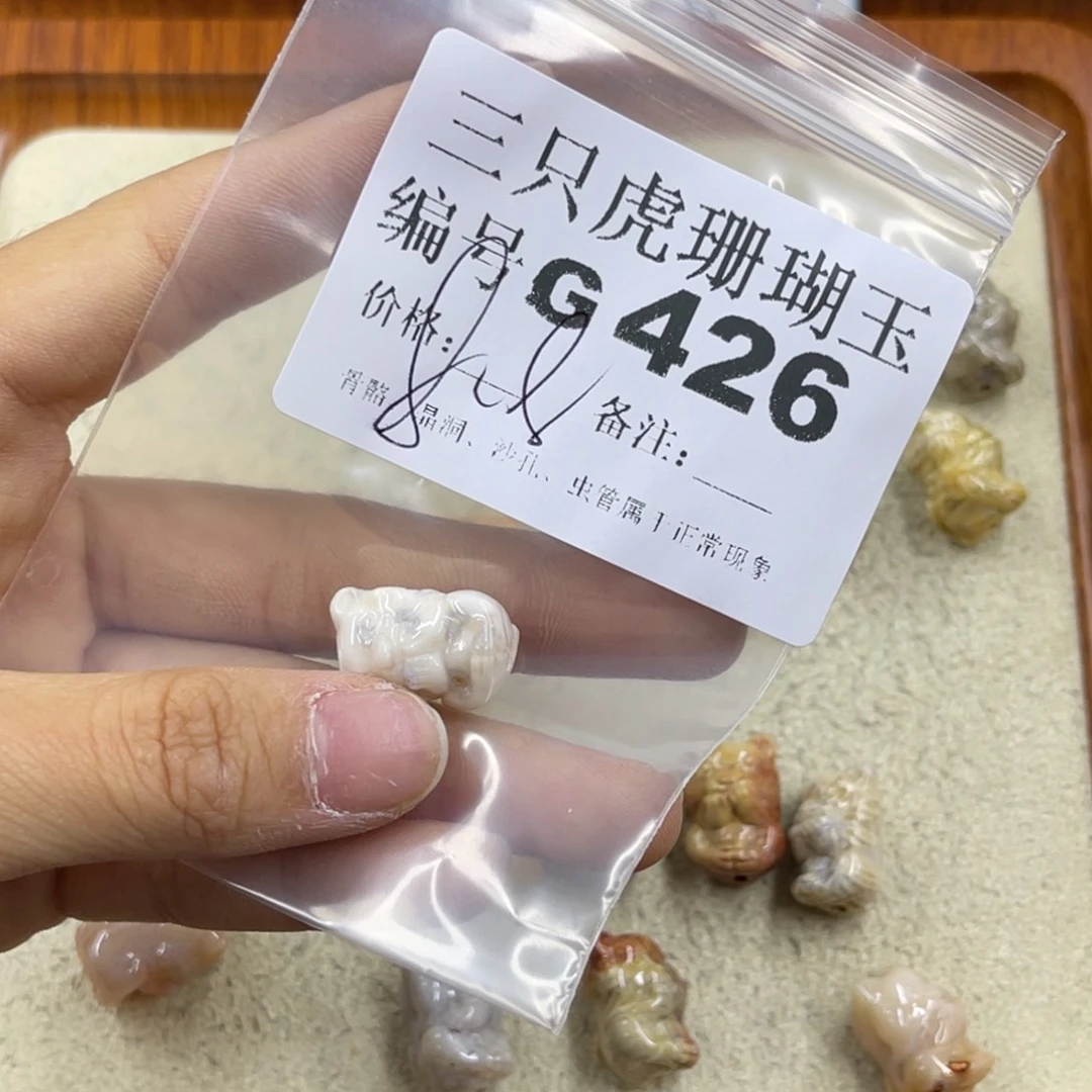行***知硅化珊瑚（珊瑚玉）未镶嵌h