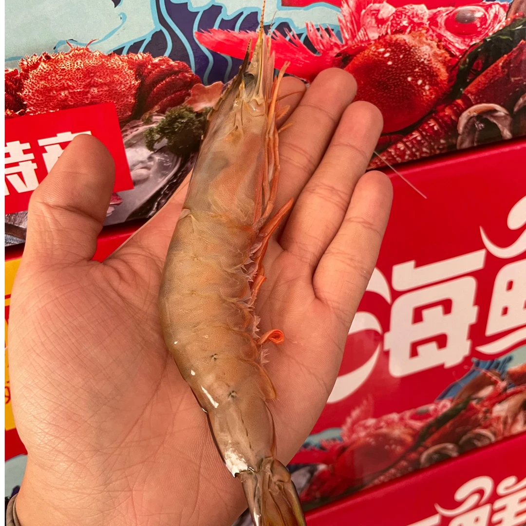 野生海水小对虾 海水虾 冷冻发货 有虾线介意勿拍
