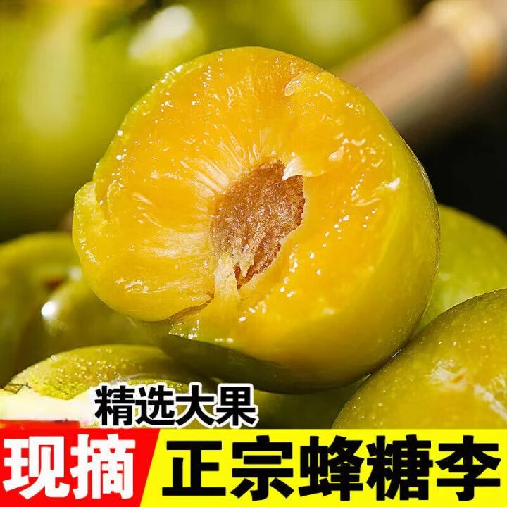 正宗六马蜂糖李产地直发可溯源新鲜李子贵州高山蜂糖李子