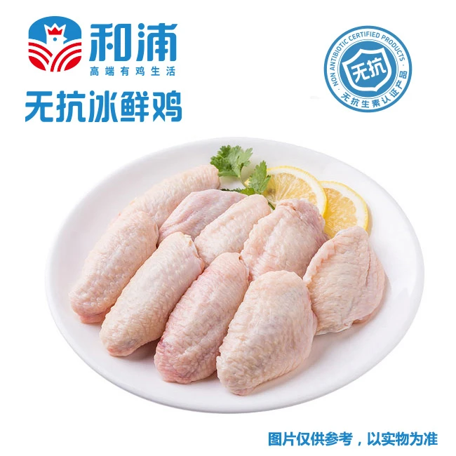 【和浦无抗冰鲜鸡】鸡翅中 生鲜食材 鲜嫩紧实 0激素0抗生素0促生长剂 包冰率不含冰