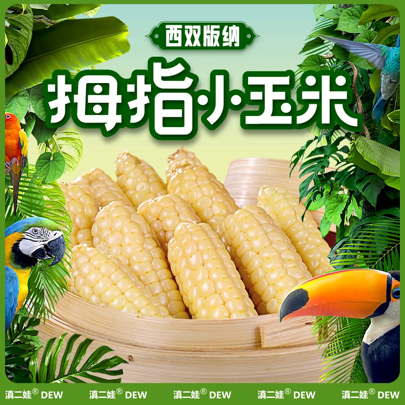 云南版纳拇指玉米香糯傣家甜糯拇指玉米香糯玉米软糯香甜早餐送礼