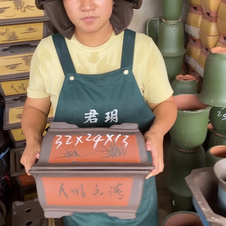 紫砂花盆盆栽花卉苗木
