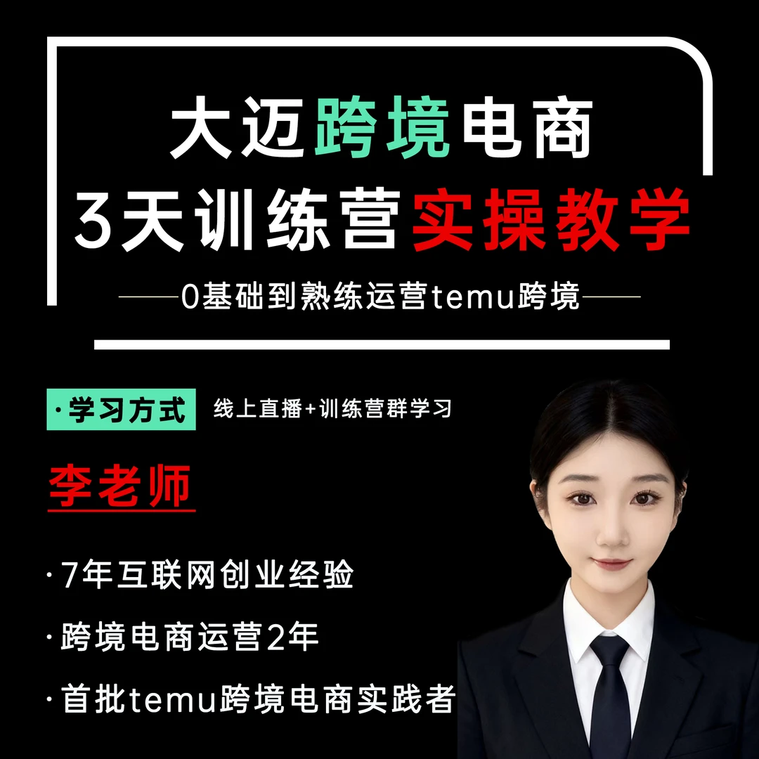 TEMU实操课三天一对一陪跑体验