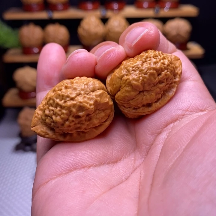 核桃云铁羊头舍利67号