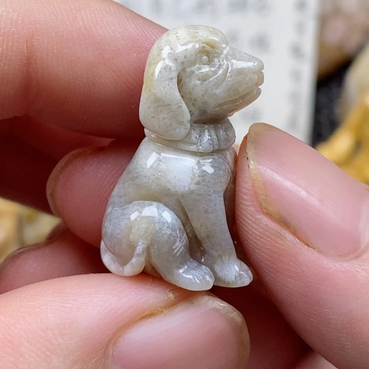 颈饰未镶嵌硅化珊瑚（珊瑚玉）小