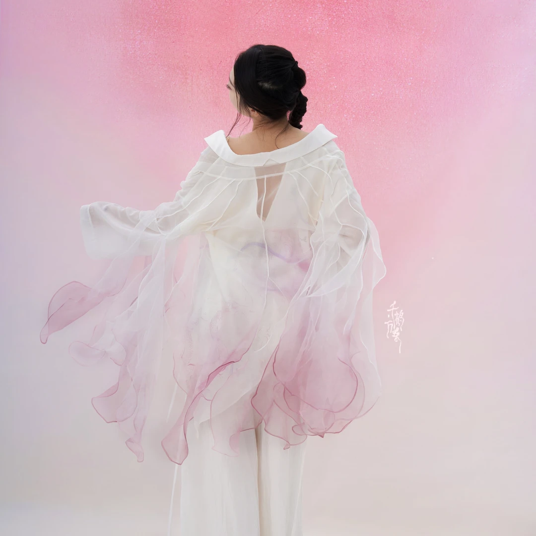 |千鹤万蝶|桑雨翩翩粉色古风舞蹈日常花瓣外衫纱衣汉服大左左同款