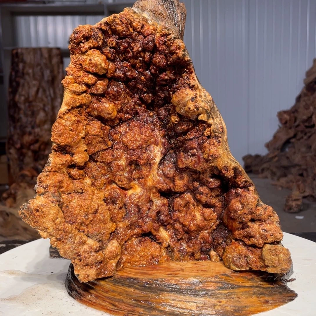 渴***望木猛子琥珀木摆件22