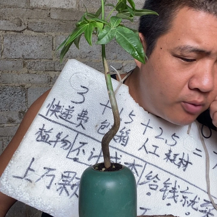 退款拉黑一物一拍97