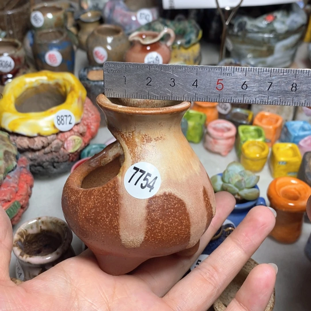 拍5送一个小礼物