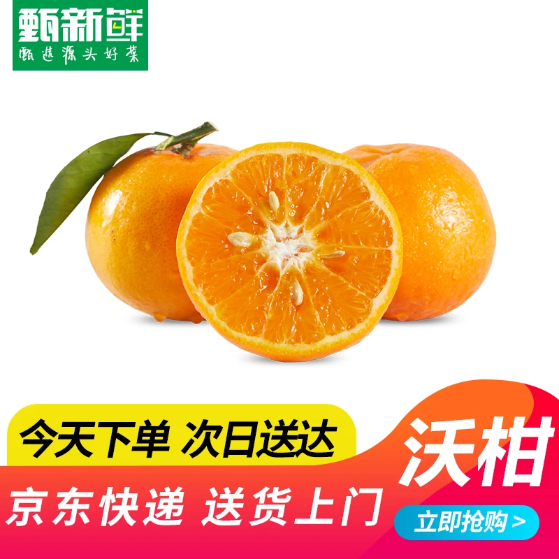 ⑨②新鲜沃柑500g±10g京东包邮次日达柑橘四川省眉山市