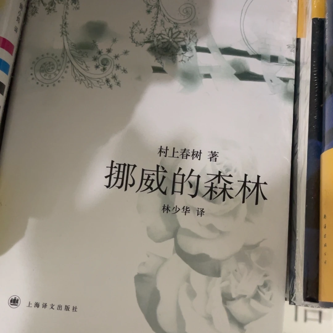 挪威的森林精装一个