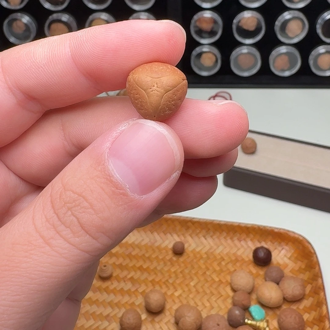 ༦***༦凤眼菩提吊坠三角龙