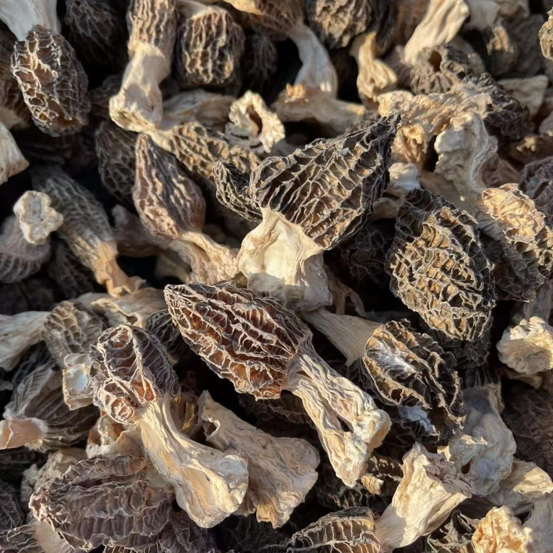 长白山羊肚菌东北特产菌中皇后健康饮食营养美味50g装、100g装
