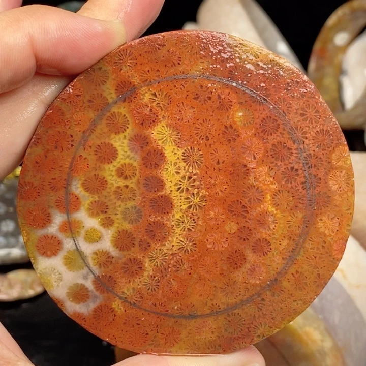 未镶嵌手镯（圆镯）硅化玉