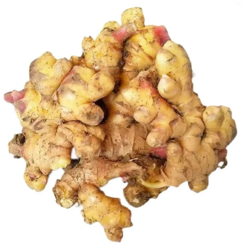 带泥老姜 板姜500g