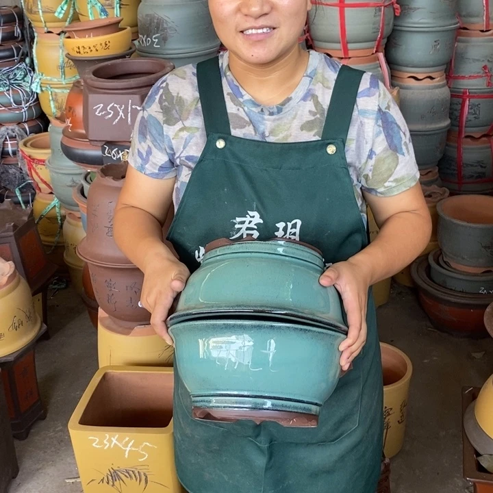 紫砂花盆盆栽花卉