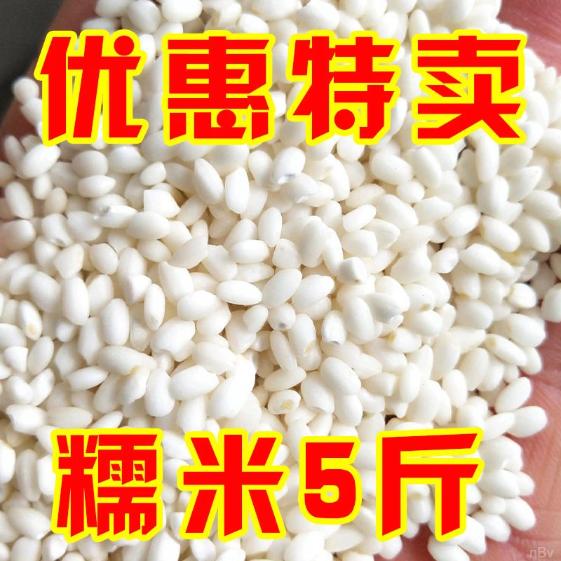 5斤特价新糯米】24年新糯米江米粘糯米东北圆粒白糯米粘米包粽子