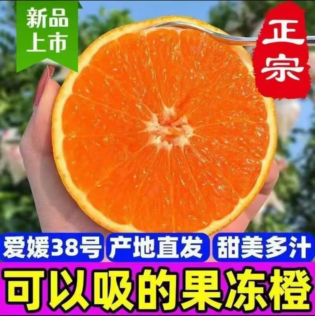 新鲜采摘四川眉山原产地爱媛38号果冻橙果农直发