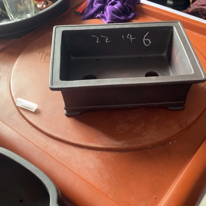 紫砂花盆自己家庭作业写完了