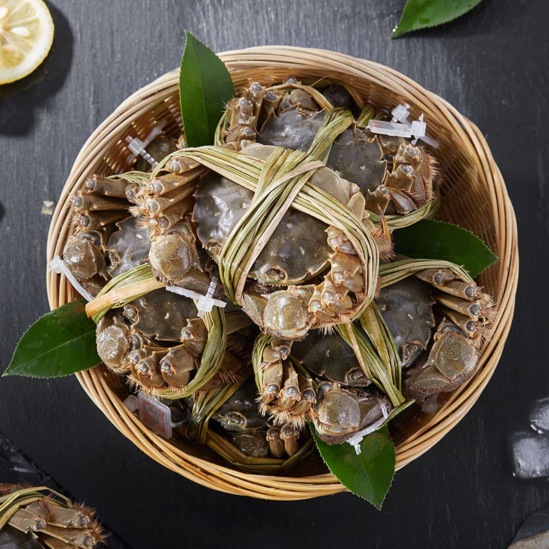 陽澄醉美苏州阳澄醉美大闸蟹2.3-2.5两全母8/10只礼盒包装
