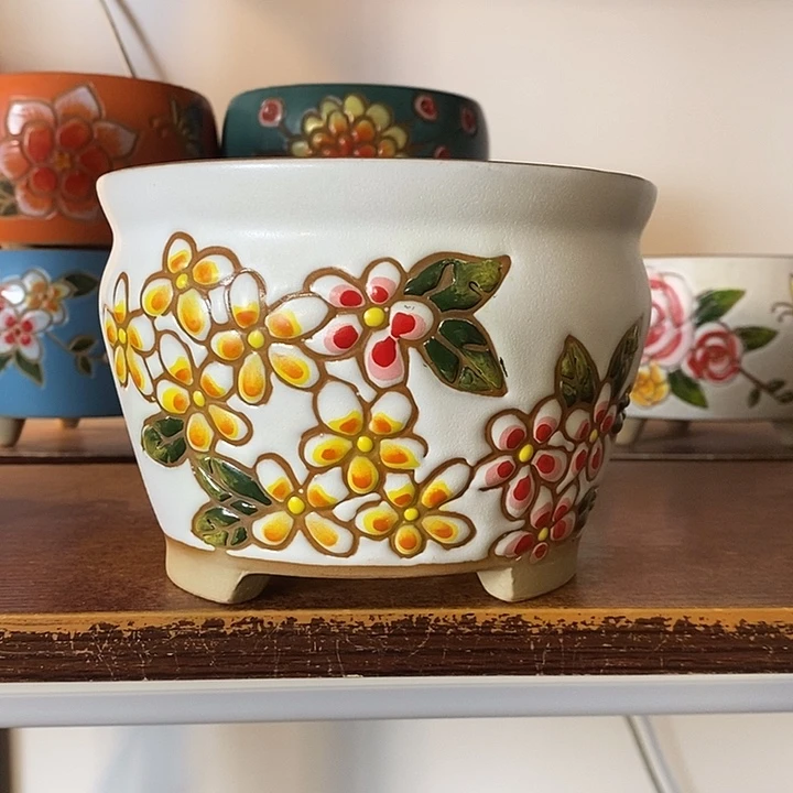 韩式多肉植物花盆