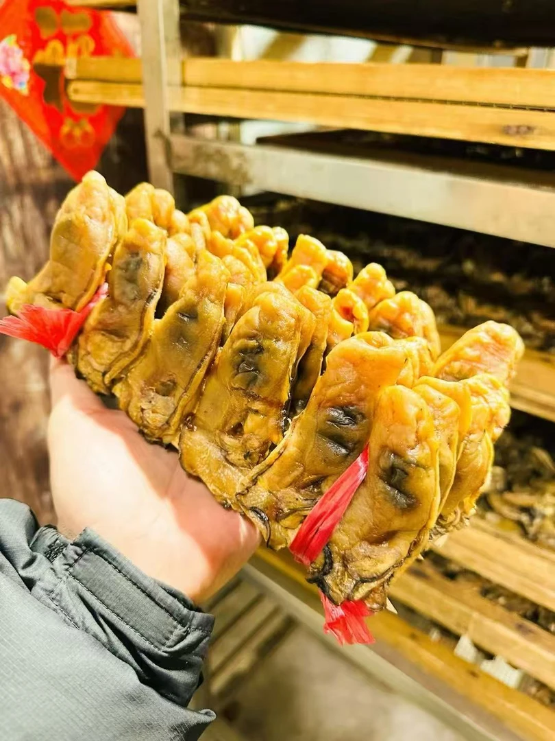 【沙井蚝豉】规格大竹排蚝豉一斤装起售