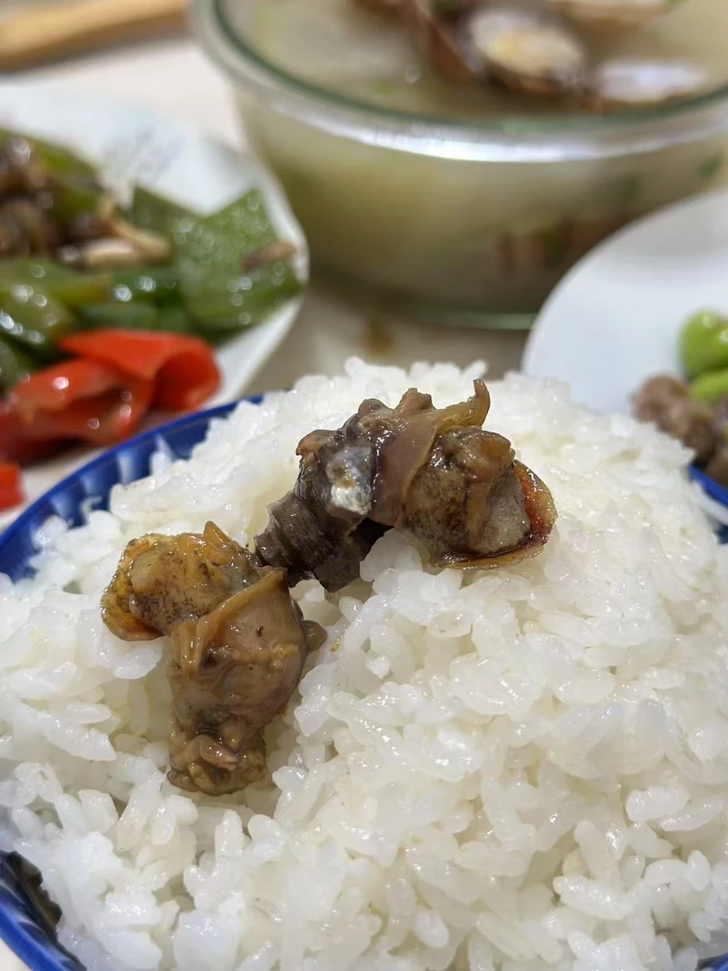 【顺丰包邮】正宗舟山海鲜 新鲜螺肉 200克/罐