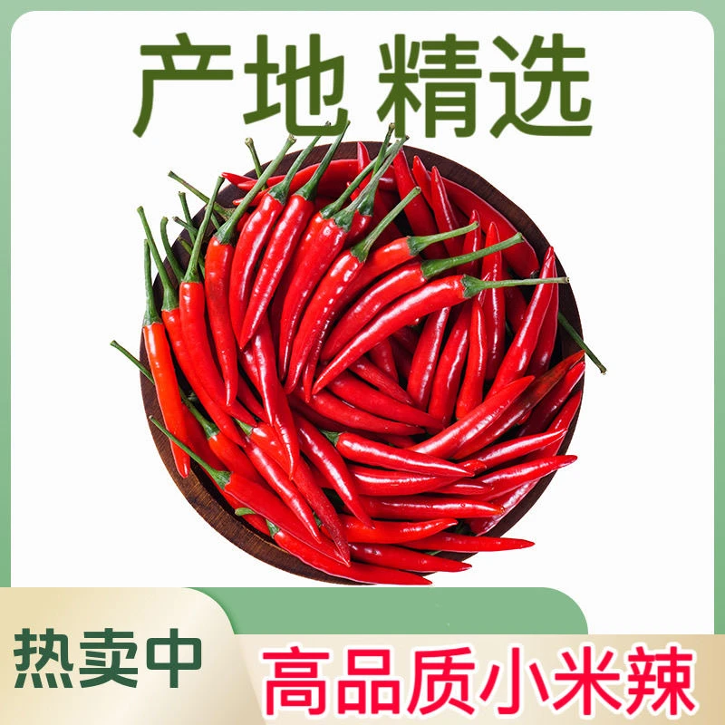 云南新鲜小米辣椒朝天椒特辣红米椒指天椒薄皮小米椒农家自种蔬菜