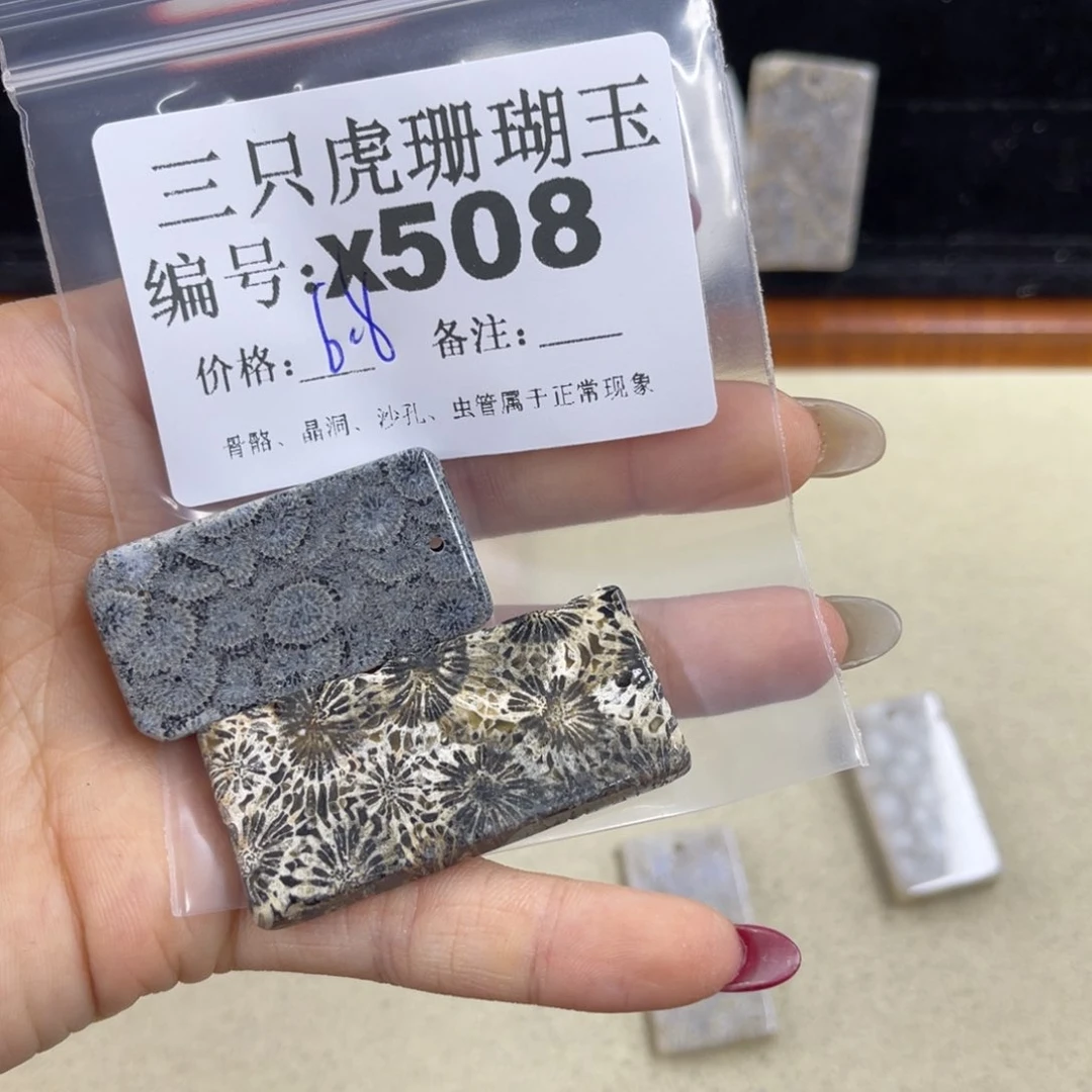 我***品硅化珊瑚（珊瑚玉）h银S925镀金镶嵌