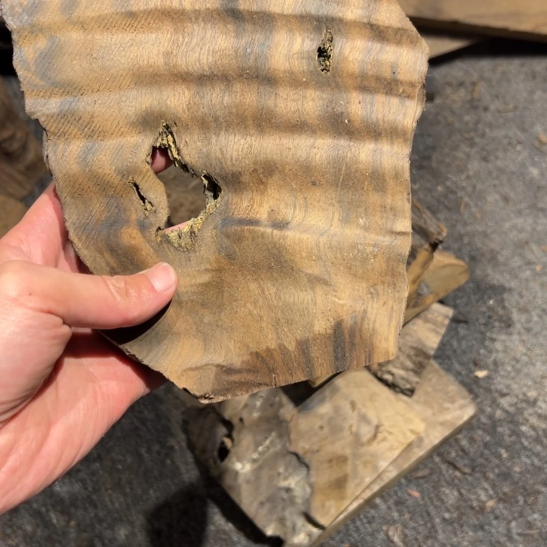 我***旅阴沉木金丝楠阴沉木原材料