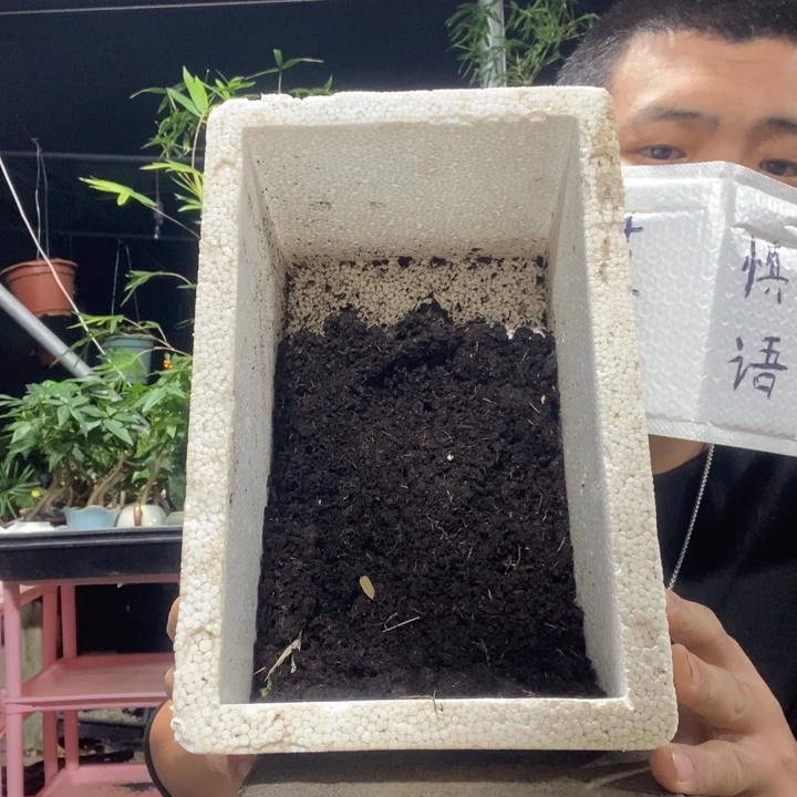 H***.以实际为准泥炭土一泡沫箱。