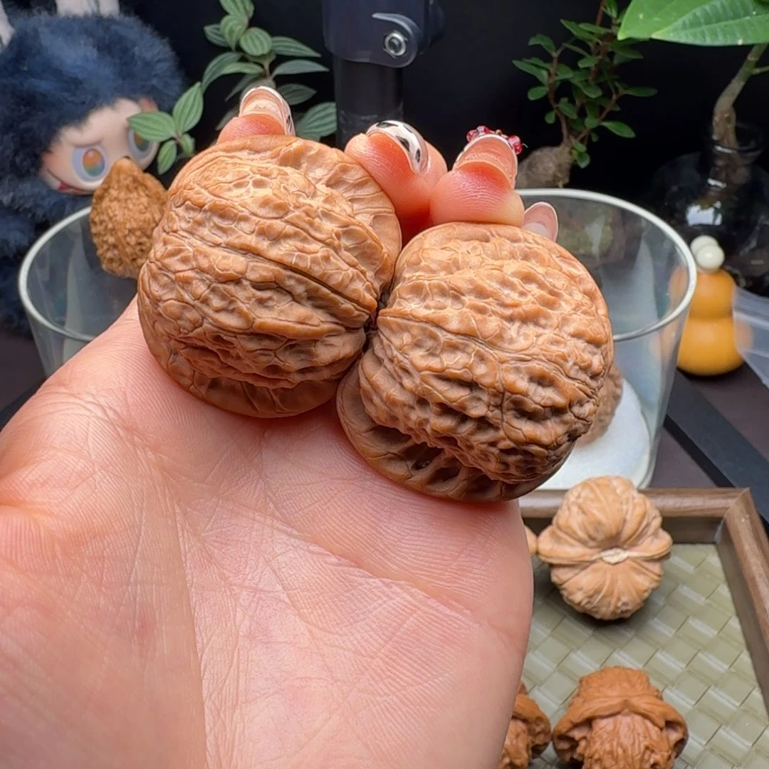 吊坠龙脊菩提全品血麒麟40（小水尖）