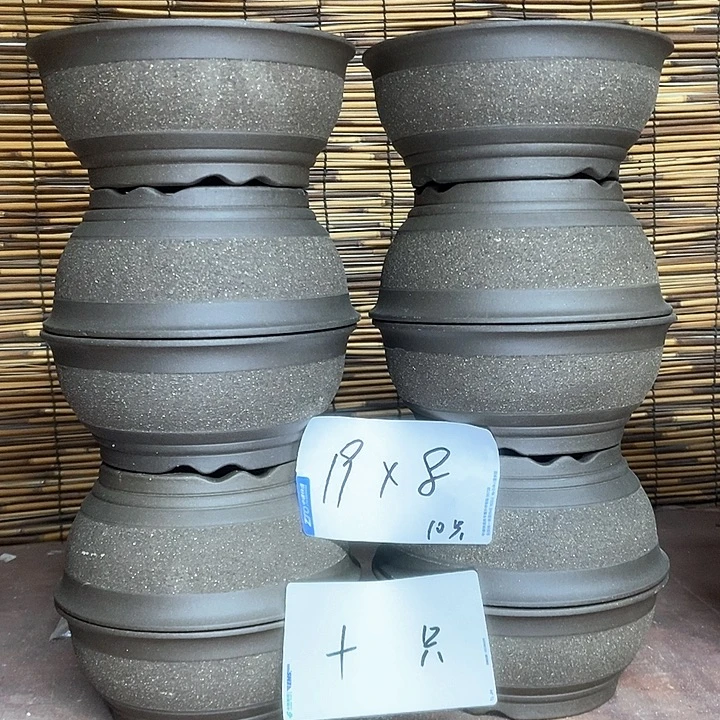 紫砂花盆我在外面