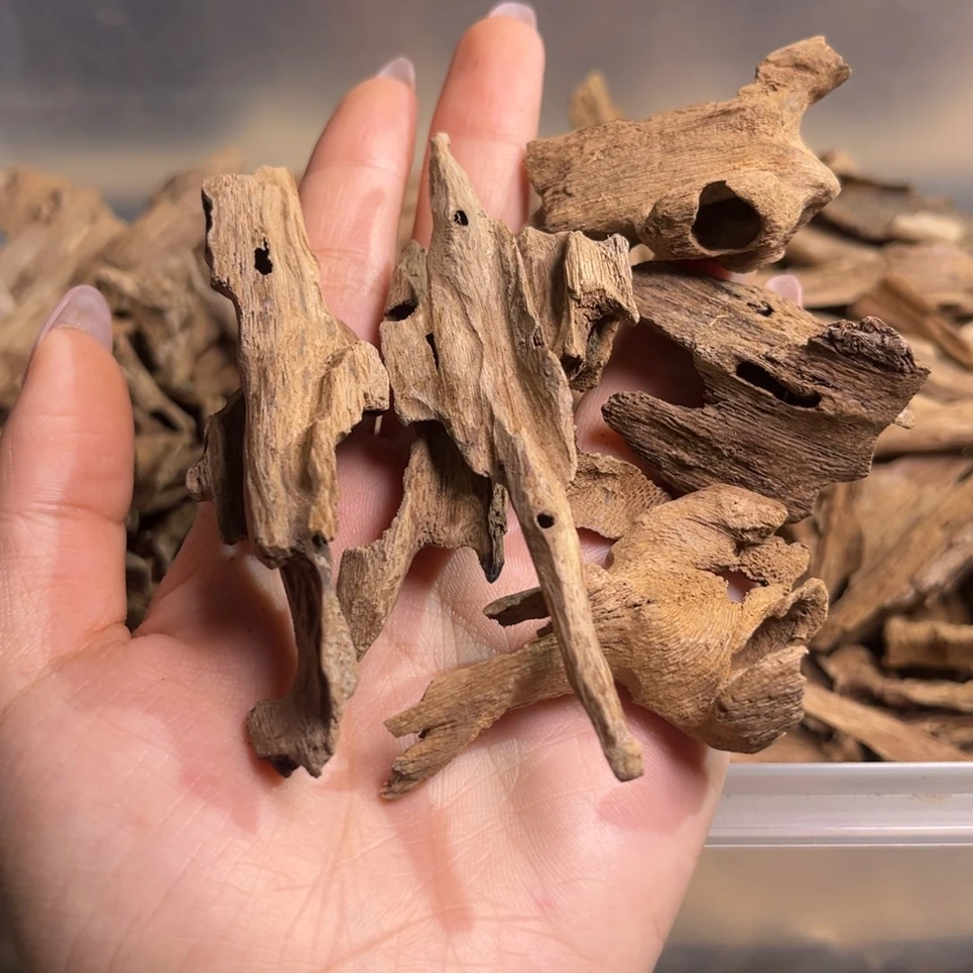 香料海南大山虫漏土埋12克