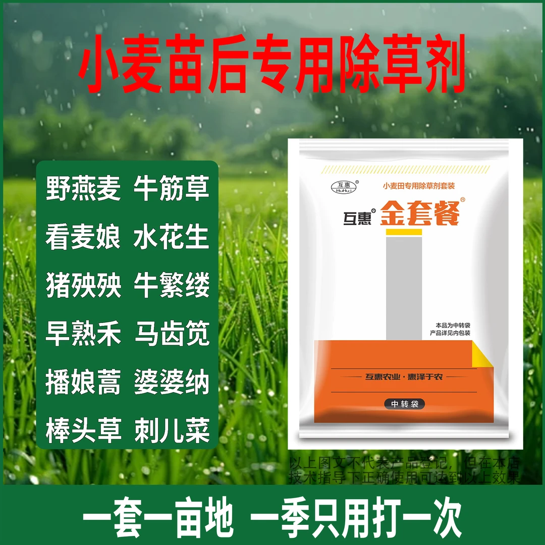 小麦苗后专用除草剂看麦娘早熟禾马齿笕禾阔双除