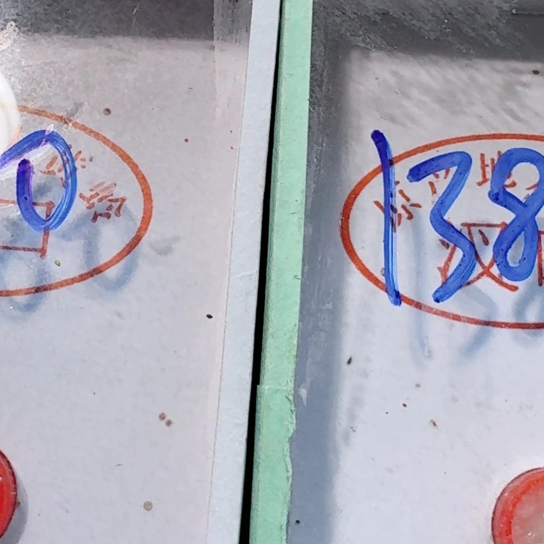 于***鹏蟋蟀蝈蝈我在外面吃饭呢